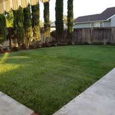 lawn by twins